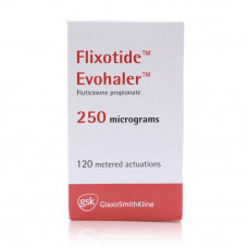 Flixotide Evohaler 250mcg Flixotide Evohaler 250mcg