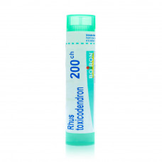 Boiron Rhus Toxicodendron 200CH Boiron Rhus Toxicodendron 200CH