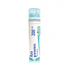 Boiron Ruta Graveolens Boiron Ruta Graveolens