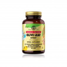 Solgar Olive Leaf Extract (SFP) – 60 Vegetable Capsules Solgar Olive Leaf Extract (SFP) – 60 Vegetable Capsules