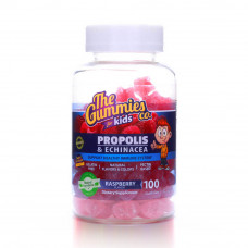 The Gummies Propolis & Echinacea (Kids) – Raspberry The Gummies Propolis & Echinacea (Kids) – Raspberry