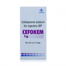 Cefokem 1G Im/Iv Cefokem 1G Im/Iv